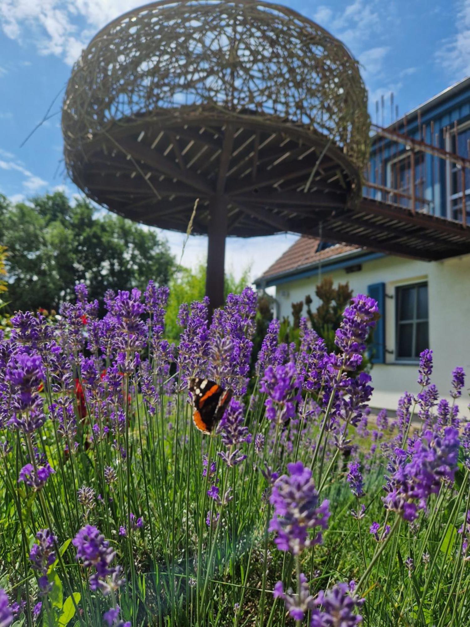 Haus Am Schilf Daire Wieck auf dem Darss Dış mekan fotoğraf